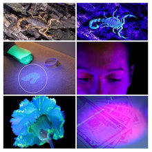 Load image into Gallery viewer, UV Flashlight Black Light Ultraviolet Blacklight Detector
