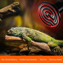 Load image into Gallery viewer, 50W/100W/150W Reptile Heat Lamp E27 for Reptiles Turtle Lizard Snake Spider