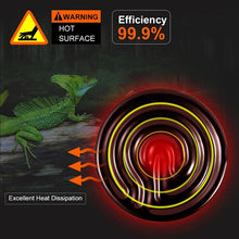 Load image into Gallery viewer, 50W/100W/150W Reptile Heat Lamp E27 for Reptiles Turtle Lizard Snake Spider
