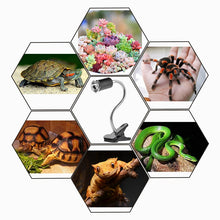 Load image into Gallery viewer, Turtle Heat Lamp Pet Heat Spot Light for Aquarium Reptile