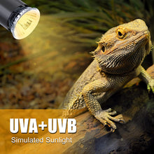 Load image into Gallery viewer, LEDBOKLI Reptile Heat Lamp Holder with Thermometer and 2 Heat Lamp Bulbs for Reptiles | 110V UVA UVB Heat Lamp for Reptiles | Replacement E26 Heat Lamp Bulbs for Reptiles Turtle Lizard Snakes