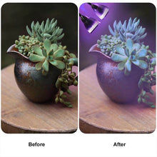 Load image into Gallery viewer, 10W Dual Head LED Grow Light Adjustable Gooseneck Lamp for Indoor Plant