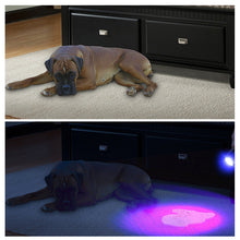 Load image into Gallery viewer, UV Flashlight Black Light Ultraviolet Blacklight Detector