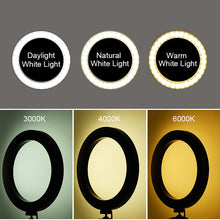 Load image into Gallery viewer, Selfie Ring Light with Tripod Stand & Cell Phone Holder & Selfie Stick 8" Dimmable Ring Light