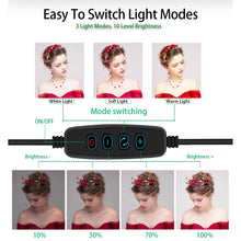 Load image into Gallery viewer, Ring Light Kit 12 W Dimmable LED Ring Light with Light Stand and Mobile Phone Clip 10.2”/26 cm