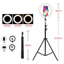 Load image into Gallery viewer, Ring Light Kit 12 W Dimmable LED Ring Light with Light Stand and Mobile Phone Clip 10.2”/26 cm