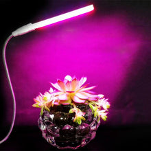 Load image into Gallery viewer, LED Plant Grow Light 3W Indoor Plants Growing Lamp USB Greenhouse Portable Growing Light