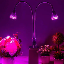Load image into Gallery viewer, 10W Dual Head LED Grow Light Adjustable Gooseneck Lamp for Indoor Plant