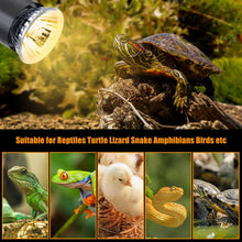 Load image into Gallery viewer, LEDBOKLI Reptile Heat Lamp Holder with Thermometer and 2 Heat Lamp Bulbs for Reptiles | 110V UVA UVB Heat Lamp for Reptiles | Replacement E26 Heat Lamp Bulbs for Reptiles Turtle Lizard Snakes
