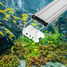 Load image into Gallery viewer, 8W Aquarium Light Fish Tank Light Splash-proof Aquatic Plant Lights
