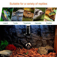 Load image into Gallery viewer, 50W/100W/150W Reptile Heat Lamp E27 for Reptiles Turtle Lizard Snake Spider
